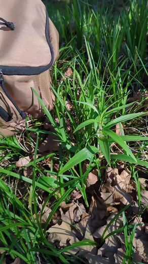 Yes. We are obsessed. The Pinch Pro is the perfect combination of style, functionality, and durability. Whether you’re looking for a “mini-Rebel” or your ideal “everyday” disc golf bag, this is the perfect choice for players of all levels. Upper Park Disc Golf®️ Original designs since 2011. Play Different®️ https://www.upperparkdiscgolf.com/ | Upper Park Disc Golf