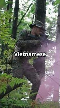 The Stand at FSB Ripcord: A Tale of Valor