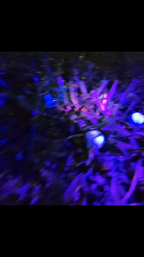 25 reactions · 16 comments | Free Golf Balls For Life! Follow to see how. #Golftok #FreeGolfBallsForLife #FindersKeepers #Golfhacks | Freeballergolf | Facebook