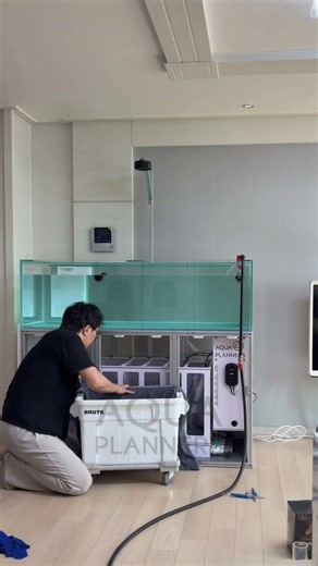 1500.700.450 aquarium setup #aquarium #aquariumsetup #interiordesign #수족관