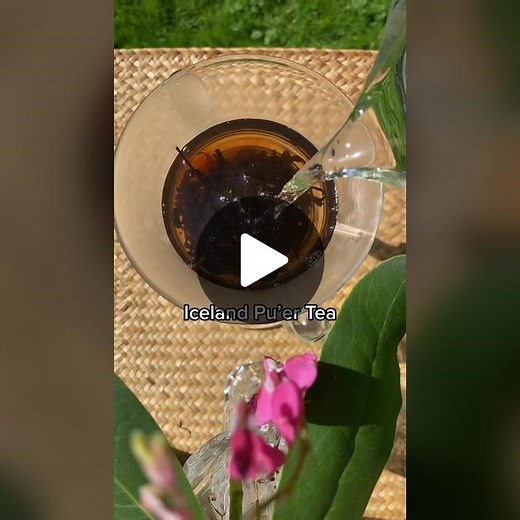 Iceland Pu’er Tea: A Holistic Wellness Experience