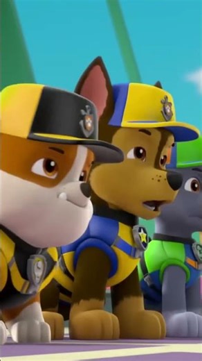 PAW Patrol International Learn To Swim Day Rescue Episode PAW Patrol