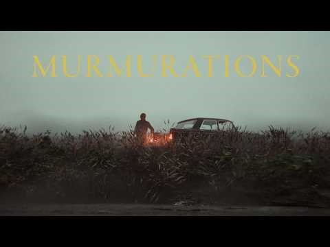 Murmurations - Blender Short Film