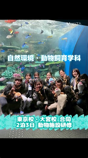 【公式】学校法人シモゾノ学園 国際動物専門学校 on Instagram: "飼育学科の1年生が大阪・神戸へ2泊3日の動物施設研修に行って来ました🚄✨ 今回は大宮校の飼育学科とも合同で、動物園や水族館と様々な施設を巡ってきました！ 自分たちが将来何になりたいのか、考えながら施設を見学していきます👀 大阪観光も最終日にしちゃいました🐙 #須磨シーワールド #アトア #海遊館 #ニフレル #天王寺動物園 #動物専門学校 #国際動物専門学校 #大宮国際動物専門学校"