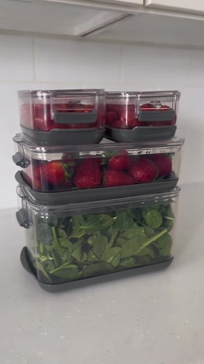 Costco Produce Containers for Efficient Produce Storage