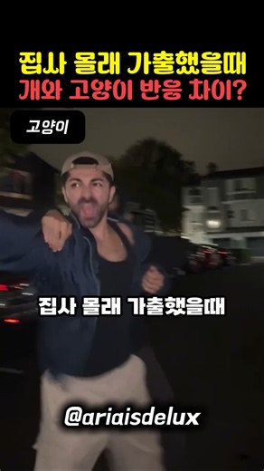 집사 몰래 가출했을때 개와 고양이 반응 차이? #유머