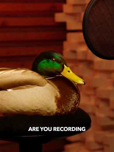 Recording a Duck for Lady Gaga's New Single