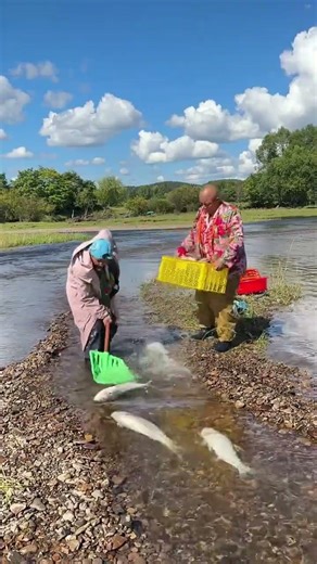 River ice fish catching with sleeping idea #fish #shorts