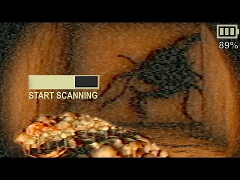 There's A Horrifying Secret Living Under Your House - Pyramid Curse Found Footage Horror