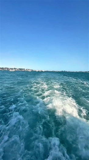 Blue views only 💙🩵