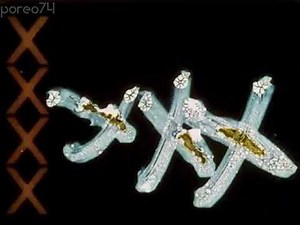 Time-Life Video (1983)