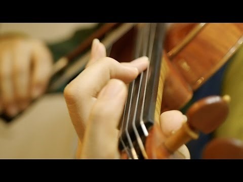 “Wind Scene (風の憧憬)” - “Chrono Trigger (クロノ・トリガー)” (Violin Cover)