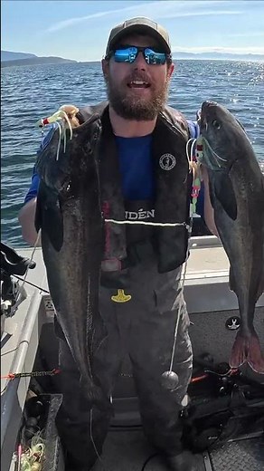 Black Cod Double! #juneau #alaska #fishing #shorts