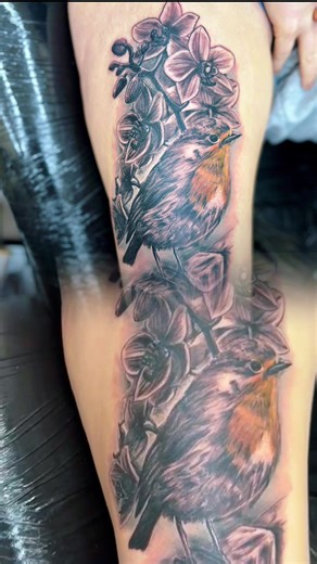 Stunning Robin Tattoo Designs You’ll Love