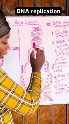 DNA replication lesson. #dnareplication #nucleicacids #biology