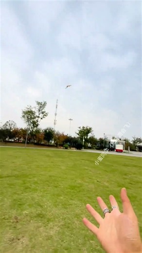 I also have a flying squirrel! One that can fly!