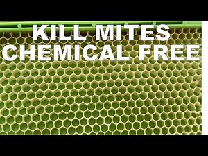 BEEKEEPING: An Effective Way to Control Mites Chemical Free