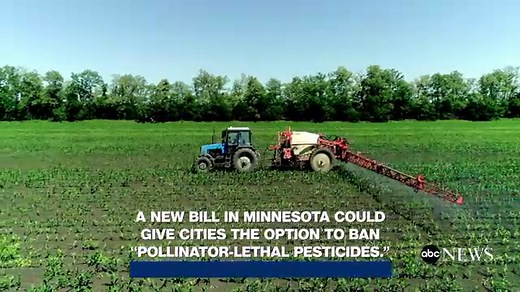 Bee-killing pesticides could be banned under new Minnesota law