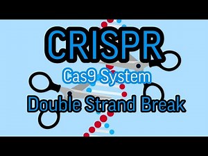 CRISPR - Cas9 System Molecular Biology || Mis.Medicine