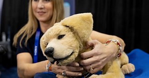 CES 2025 is here. What can we expect from the annual show of all things tech?