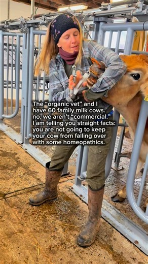 Reverence Farms on Instagram: "I love homeopathy. cut my teeth in it, seen some amazing things. like the practically d3@d walk. have an entire library — not a shelf of homeopathic books — a library and I’ve read most of them. some are almost as old as this country. but creation is BREAKING and she doesn’t need some essences of calcium, magnesium, phosphorus, potassium. I know the theory. I have seen the practice. I am married to the guy who made homeopathics a thing for dairy cows and we could m