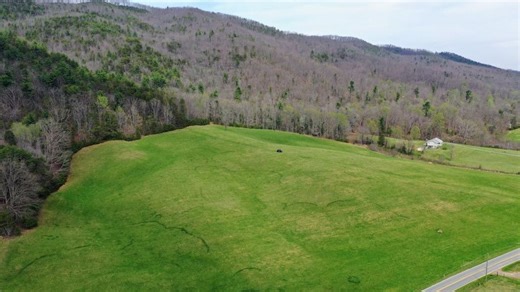 35± Acres Bordering Cherokee National Forest In Greene County | Whitetail Properties