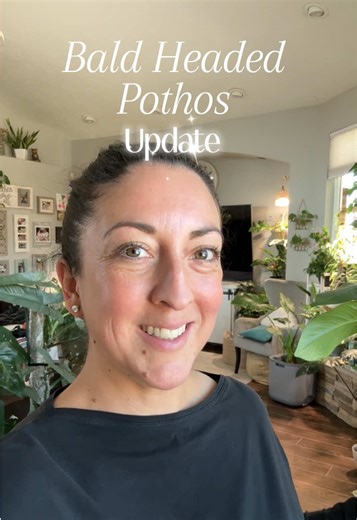 Update on My Bald-Headed Pothos Using Keiki Paste