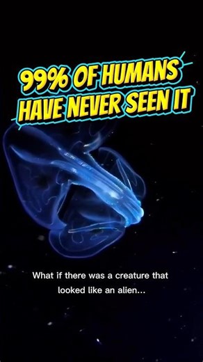 “This animal looks like an alien… but it lives on Earth! 😳” #facts #animals