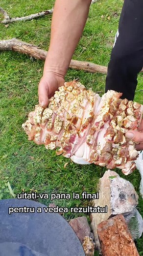 Outdoor Grilling: Cooking a Large Piece of Meat