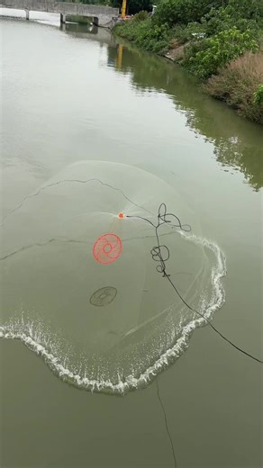 Beginner's Guide to Fishing: Easy Techniques