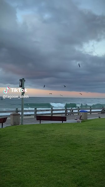 ˘ᵕ˘ (@lagoon_ahhh)’s video of laguna beach california