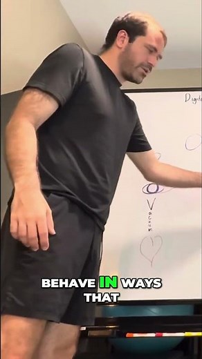 Entropy: Order vs. Disorder and The Journey Home #shorts