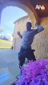 It's going to bee a long day 🐝 #afv #caughtoncamera #funny | America's Funniest Home Videos