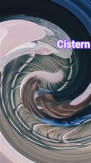 Cistern Fitting Process 😱 20 Sec Me Sab Set! 🔥 Must Watch