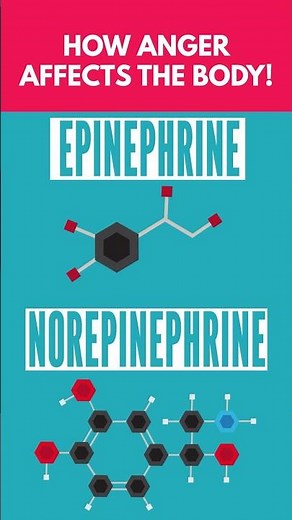 How Anger Affects Your Body! 😡