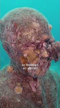 Revisiting an underwater art installation four years later on the Great Barrier Reef =