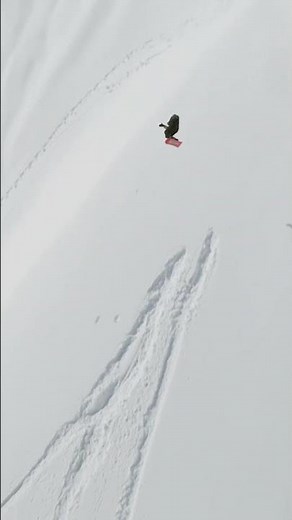 He Sent a Double Backflip in NST Finals 🤯