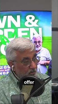 Perfect Time to Build Your Dream Pool in San Antonio - Expert Timeline & Tips!