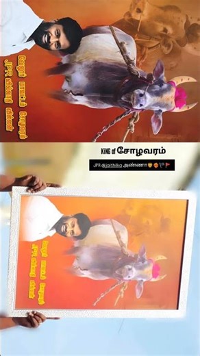 சோழவரம் JPR #king #jpr #vellore #dmk #manjuvirattu #videoediting #videography