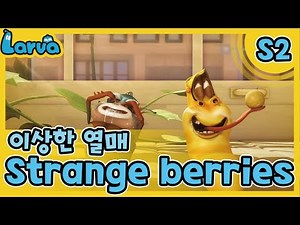 LARVA S02 | 라바 시즌 2 | Episode | 049_바보버섯/이상한 열매(Strange berries) | 케이블 TV_VOD