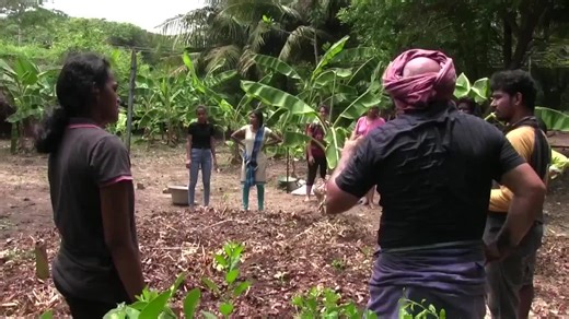 Transforming Public Spaces: Circle Garden Initiative in Pondicherry