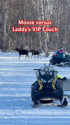 Moose versus Leddy’s VIP Couch at the Su Dog 300