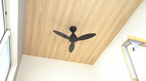 Ceiling fan on the vaulted ceiling.