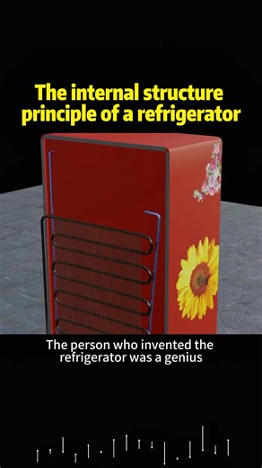 Understanding the Internal Structure of a Refrigerator