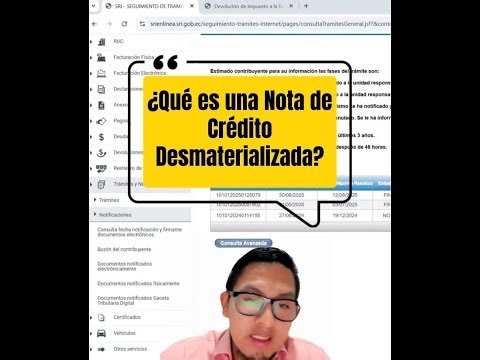 What is a Dematerialized Credit Note?