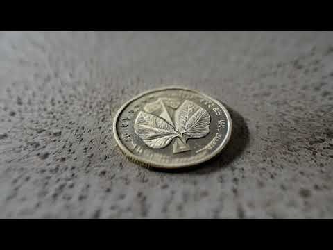 COINROLL: Coin Roll Sound Effect | No Copyright & Free to Use for Editing