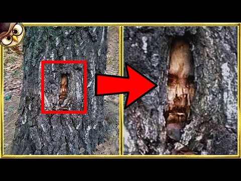 100 Impossible Places People Were Found