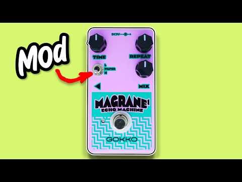 £40 delay with tricks up it's sleeve? Gokko Magrane Echo Machine Delay