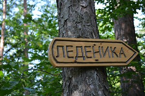 3 applications qui traduisent instantanément des langues étrangères à l'aide de l'application appareil photo