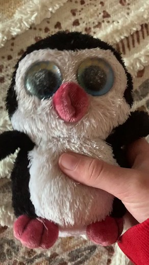 fidget_world20 on TikTok